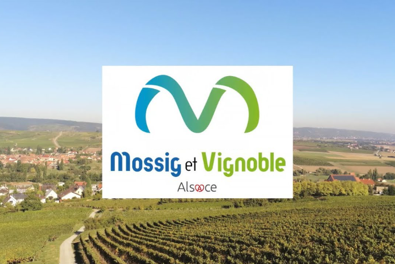 Mossig et Vignoble Alsace